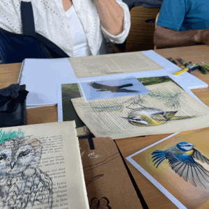 Atelier dessin d'oiseaux au stylo sur vieux papier avec Élodie Tribut