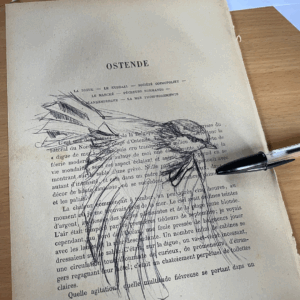 Atelier dessin d'oiseaux au stylo sur vieux papier avec Élodie Tribut