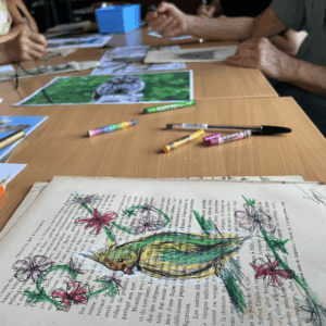 Atelier dessin d'oiseaux au stylo sur vieux papier avec Élodie Tribut