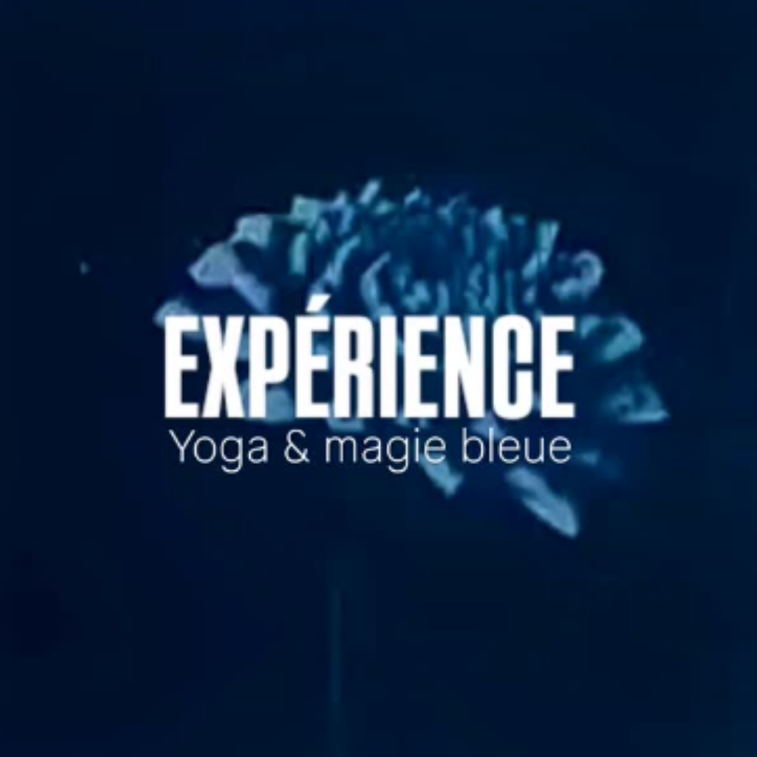 Magie Bleue_octobre 2025