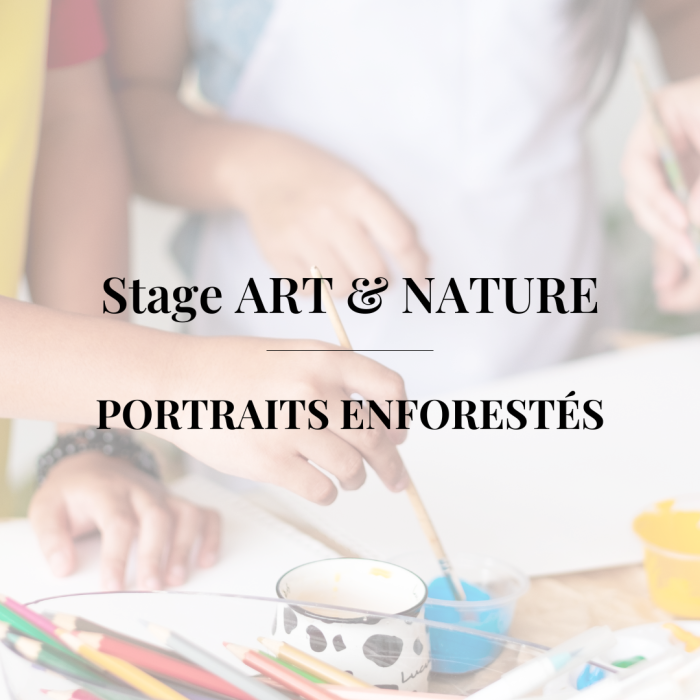 stage A&N printemps 2025 stage A&N printemps 2025
