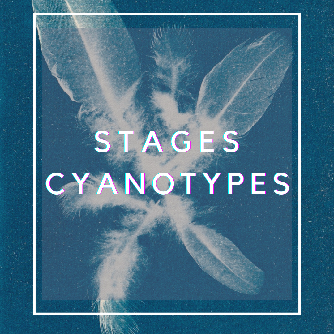 visuel site web_cyanotype
