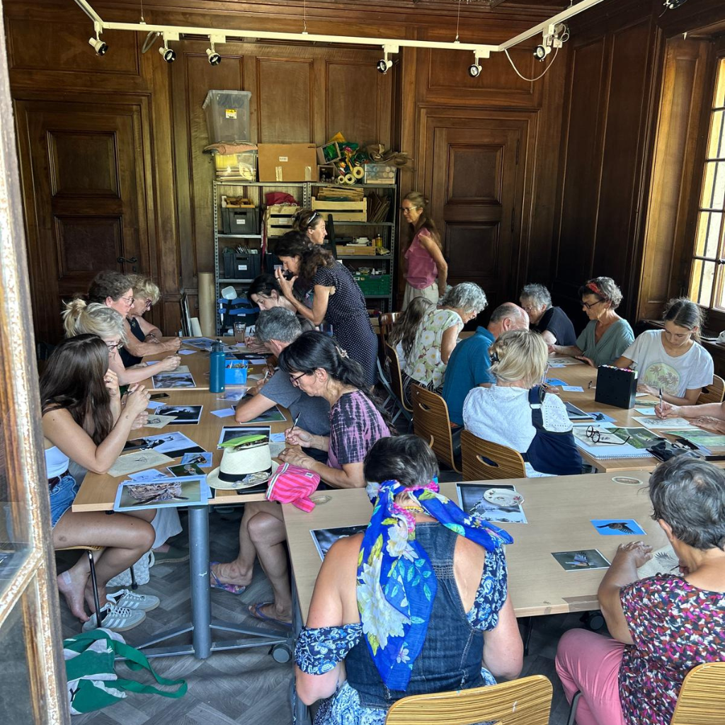 Atelier dessin d'oiseaux au stylo sur vieux papier avec Élodie Trib