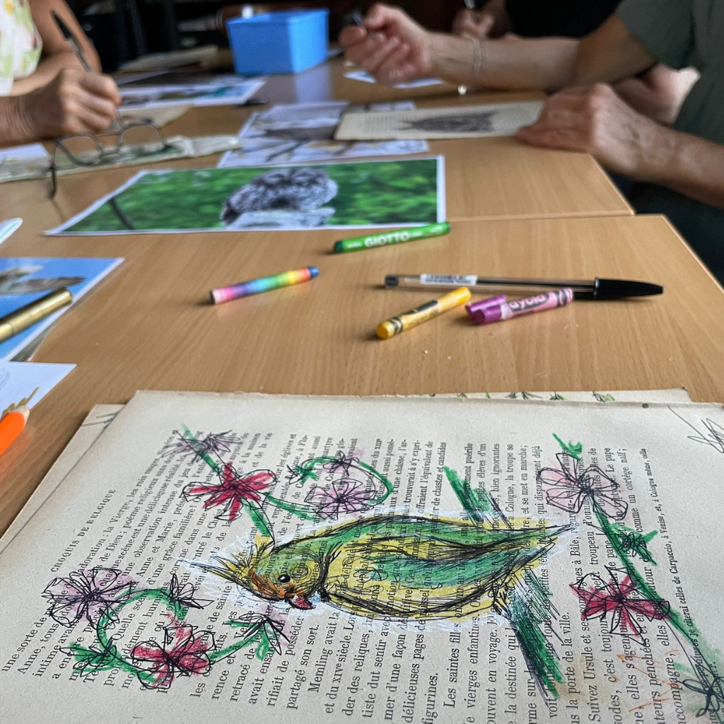 Atelier dessin d'oiseaux au stylo sur vieux papier avec Élodie Tribut (2)