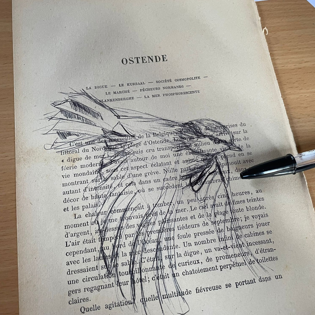 Atelier dessin d'oiseaux au stylo sur vieux papier avec Élodie Tribut (3)