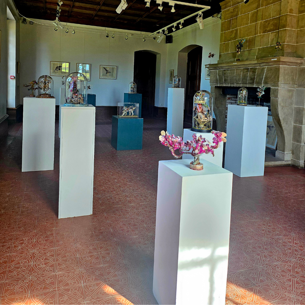 Vue d'ensemble de l'exposition