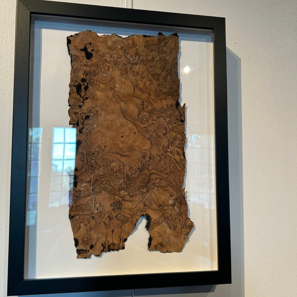 Ulmus Campetris,  Jean-Christophe Humbert