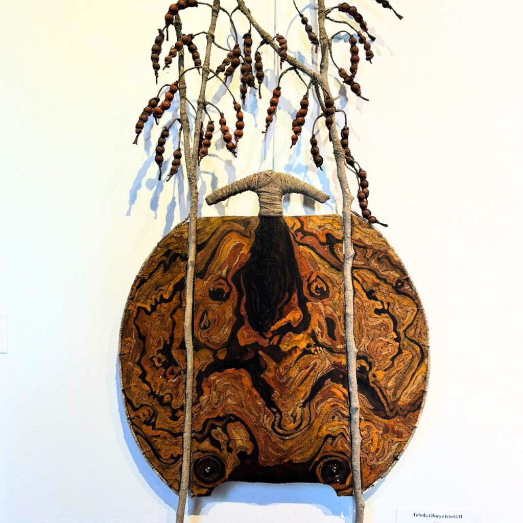 Tabula Olneya tesota II - Jean-Christophe Humbert